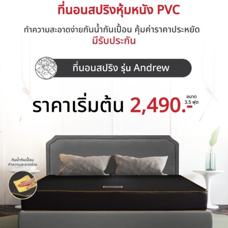 ที่นอนสปริง "Andrew"