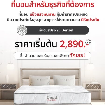 ที่นอนสปริง "Denzel"