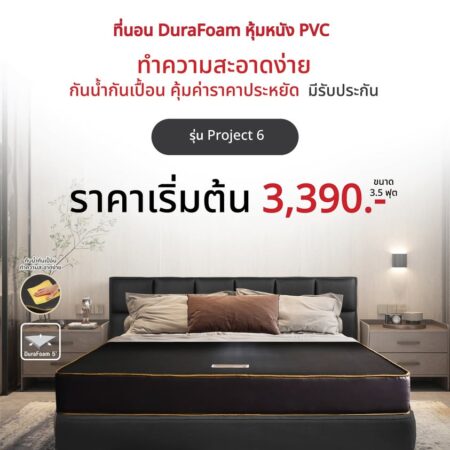 ที่นอนฟองน้ำอัด PVC "Project 06"